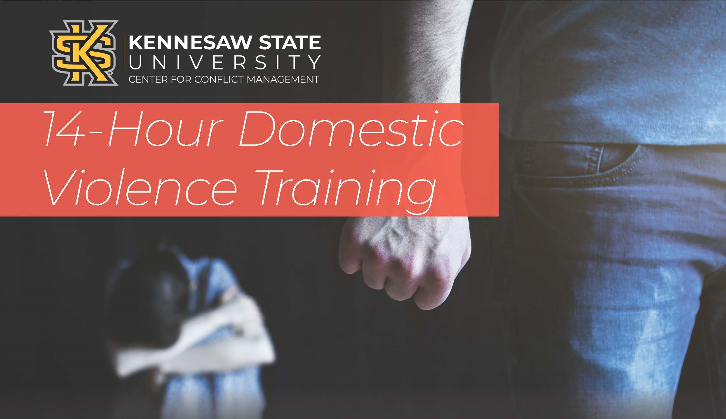Domestic Violence Training 